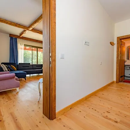Nazen Apartment